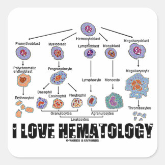 I Love Hematology (Blood Cell Lineage) Square Sticker