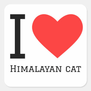 I love Himalayan cat  Square Sticker