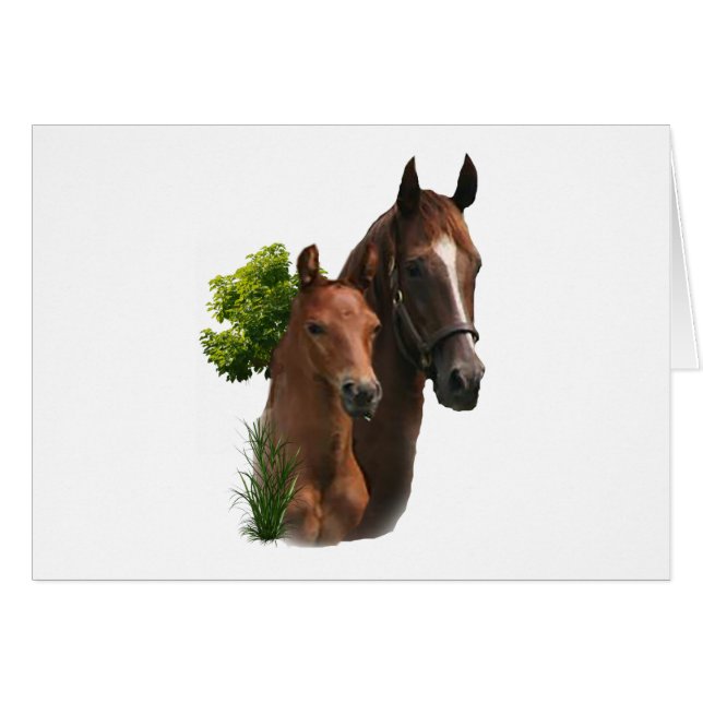 I love Horses (Front Horizontal)