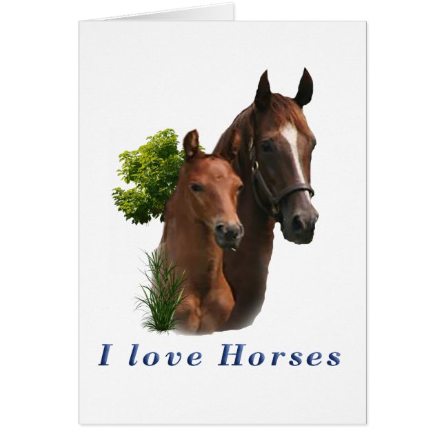 I love horses (Front)
