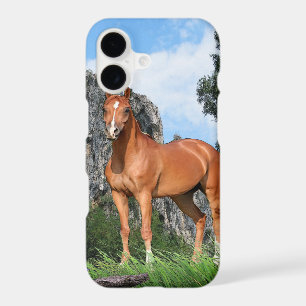 I love Horses