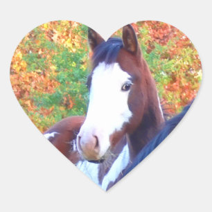 I Love Horses Heart Stickers