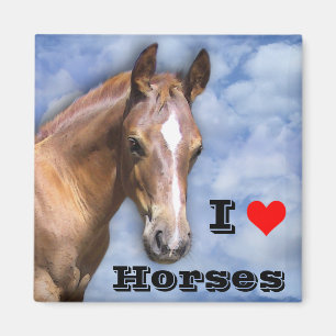 I love Horses Magnet
