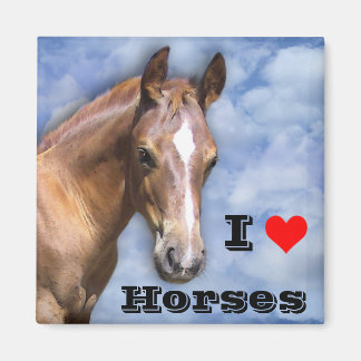 I love Horses 🐎 Magnet