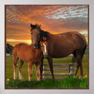 I love Horses Poster
