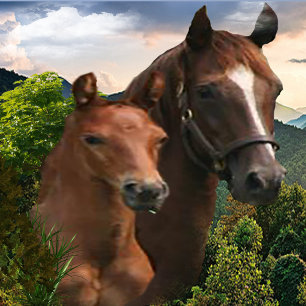 I love Horses Poster