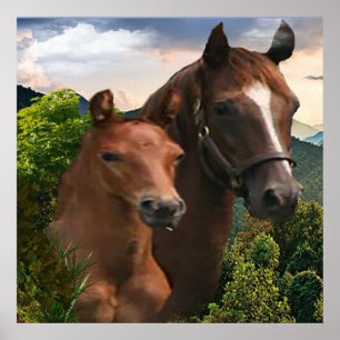 I love Horses Poster