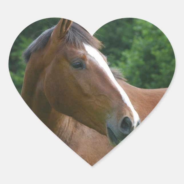 I love Horses Stickers Horse Face in Heart Sticker (Front)