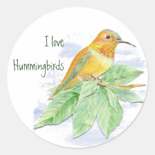 I love Hummingbirds, Original Watercolor Bird Classic Round Sticker
