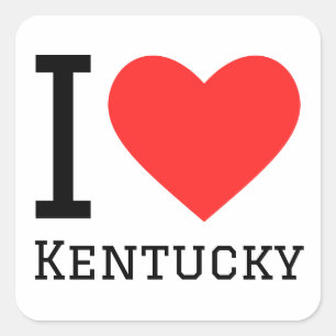 I love kentucky square sticker