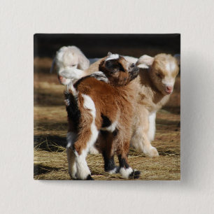 I Love Kids 15 Cm Square Badge