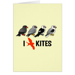 I Love Kites