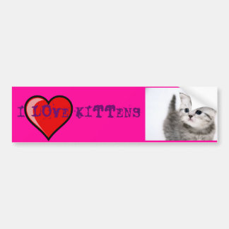 i love kittens bumper sticker