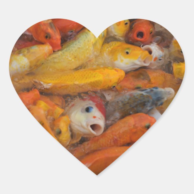 I love Koi fish stickers. Heart Sticker (Front)
