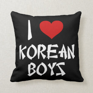 I Love Korean Boys Cushion