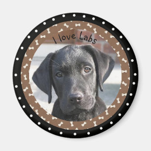 I love Labs Magnet