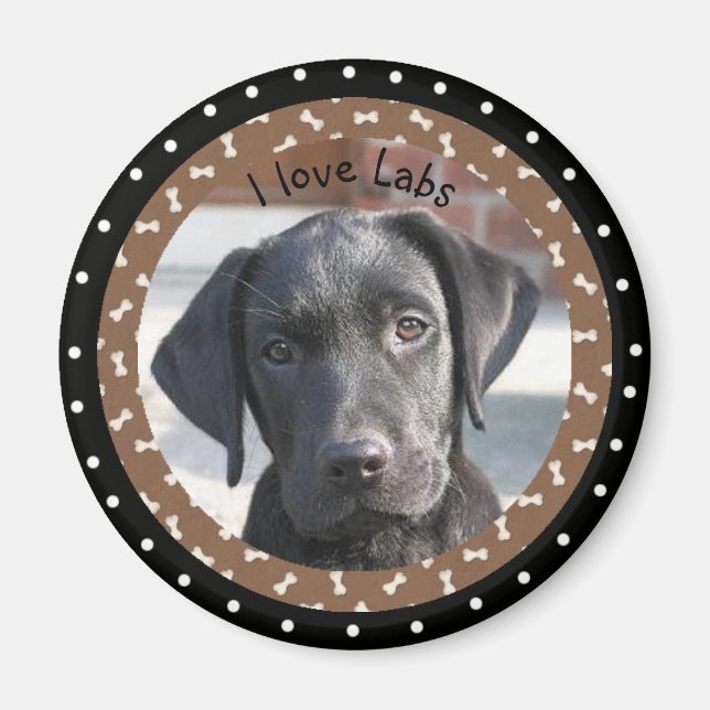I love Labs Magnet (Front)