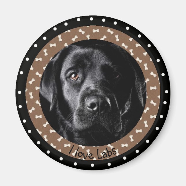 I love Labs Magnet (Front)