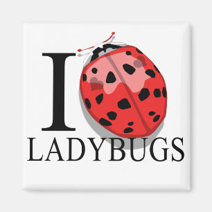 I Love Ladybugs Magnets
