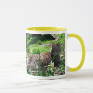 I LOVE Maine  Coons Mug