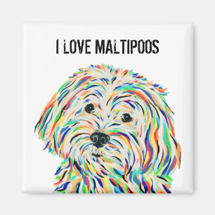 I Love Maltipoos Magnet