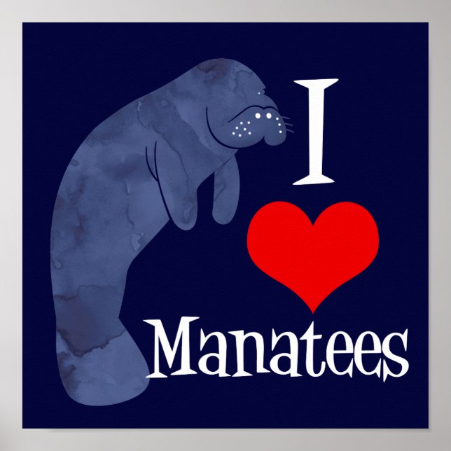 I Love Manatees Poster (Front)
