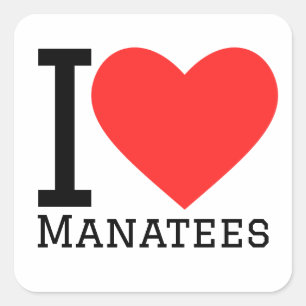 I love manatees square sticker