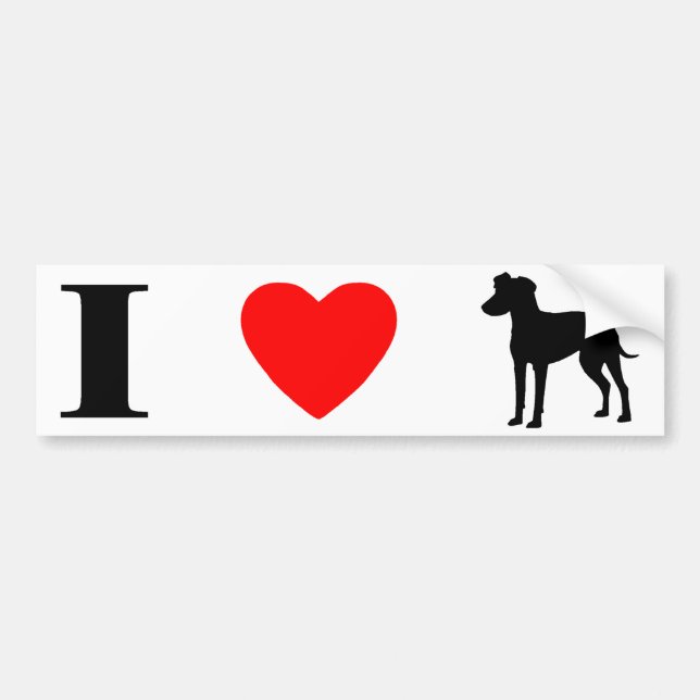 I Love Manchester Terriers Bumper Sticker (Front)