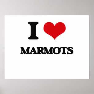 I love Marmots Poster