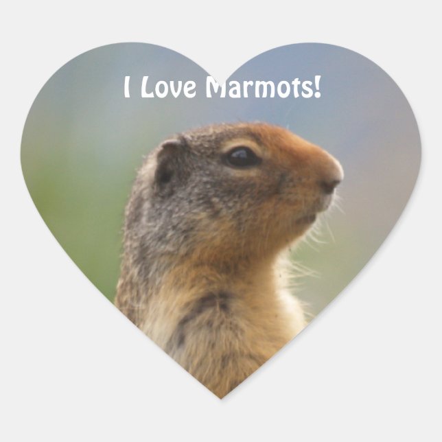 I Love Marmots Wildlife Photo Heart Sticker (Front)