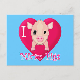 I Love Micro Pigs Postcard