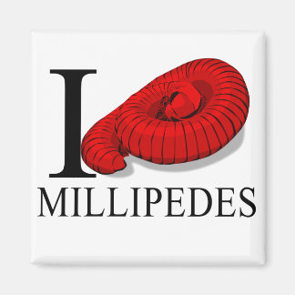 I Love Millipedes Magnets