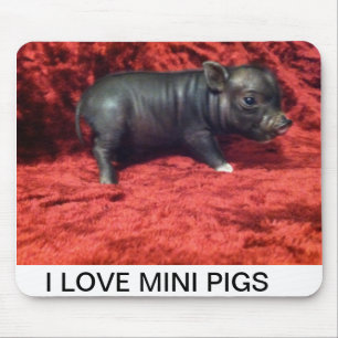 I love Mini pigs mouse pad