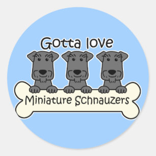 I Love Miniature Schnauzers Classic Round Sticker