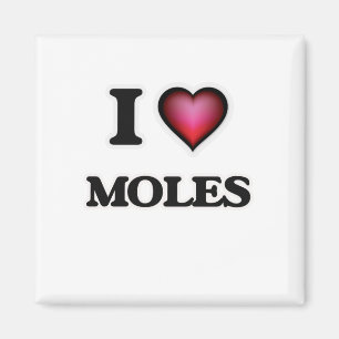 I Love Moles Magnet