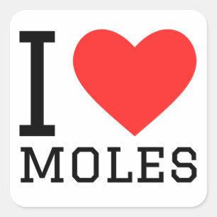 I love moles square sticker