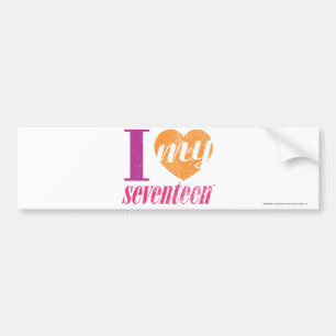 I Love My 17 Orange Bumper Sticker