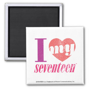 I Love My 17 Pink Magnet