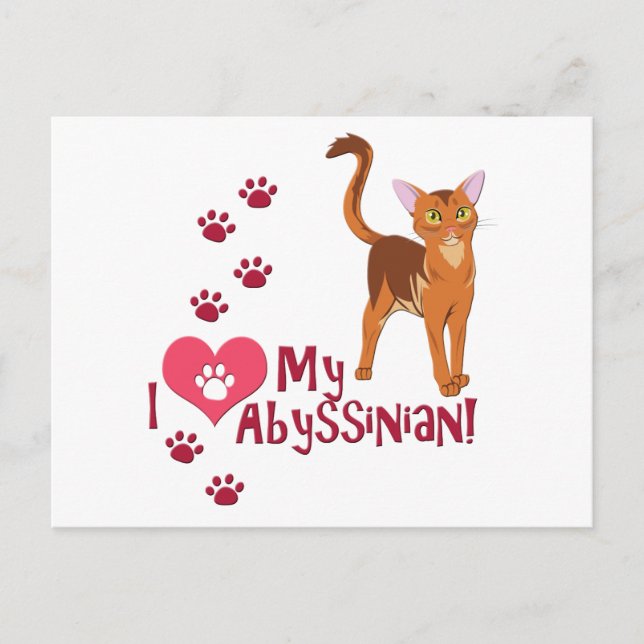 I Love My Abyssinian! Postcard (Front)