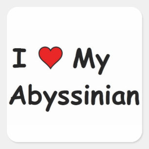 I Love My Abyssinian Square Sticker