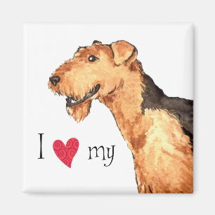 I Love my Airedale Magnet