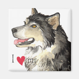 I Love my Alaskan Malemute Magnet