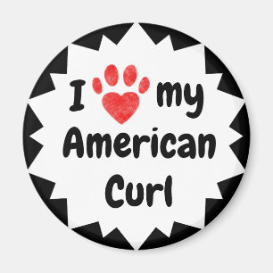 I Love My American Curl Cat Magnet