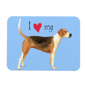 I Love my American Foxhound Magnet