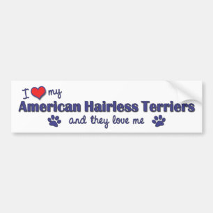 I Love My American Hairless Terriers (Multi Dogs) Bumper Sticker