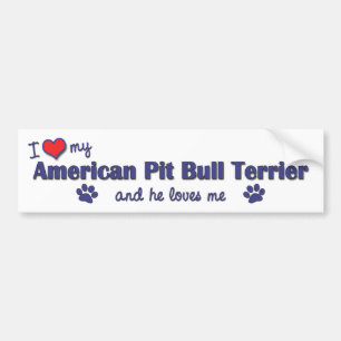 I Love My American Pit Bull Terrier (Male Dog) Bumper Sticker