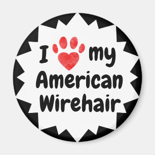I Love My American Wirehair Cat Magnet
