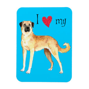 I Love my Anatolian Shepherd Magnet