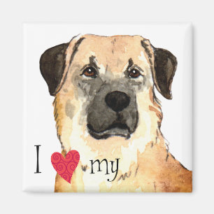 I Love my Anatolian Shepherd Magnet
