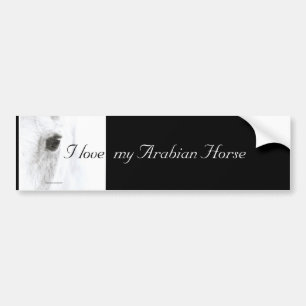 I love my Arabian Horse Bumper Sticker